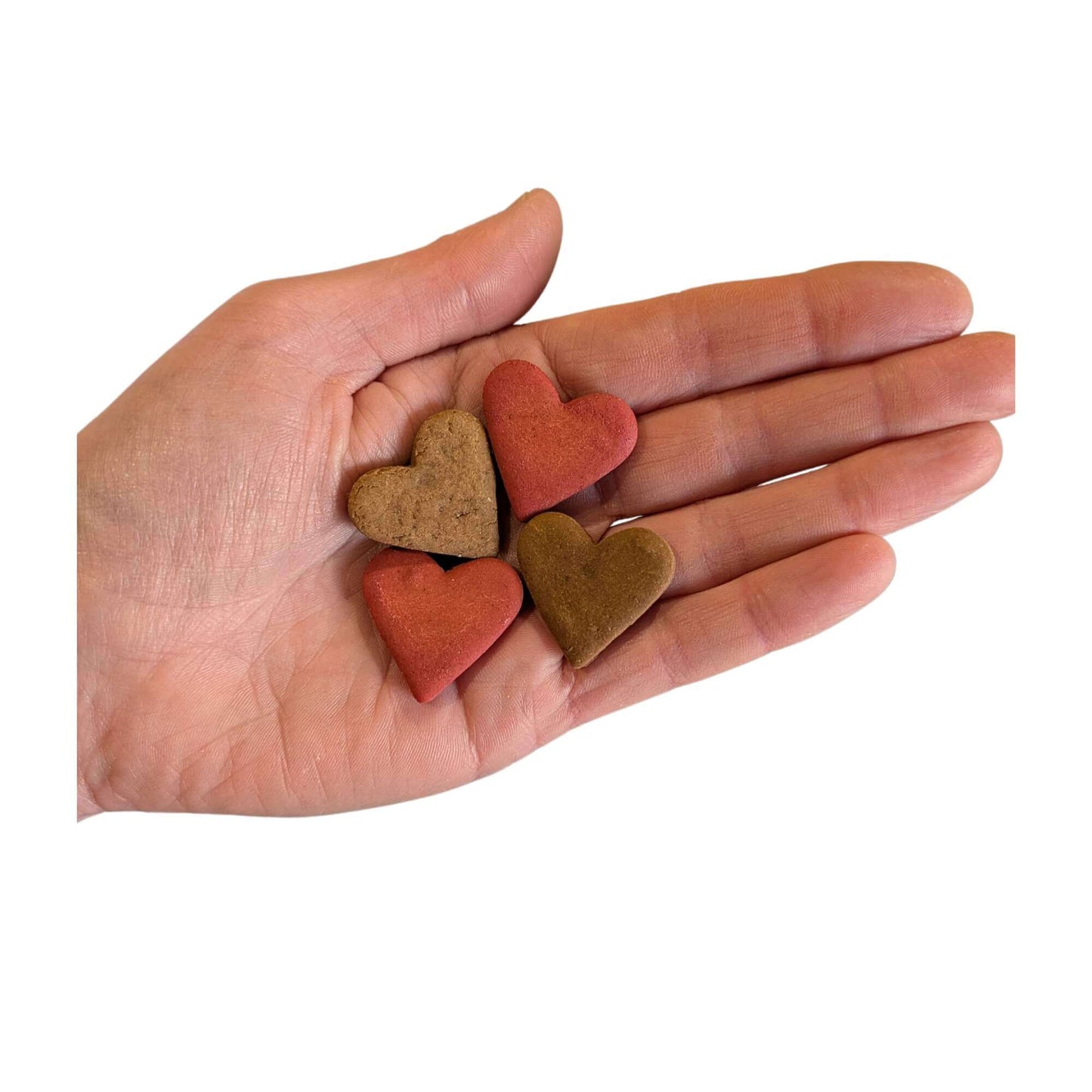 valentines dog treats biscuits in a hand