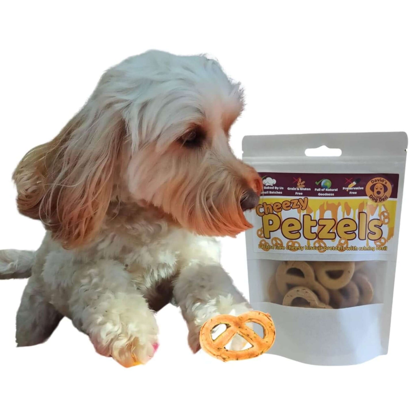 cheese dog treats cheezy petzels with a dog